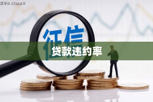 嫩江贷款违约率