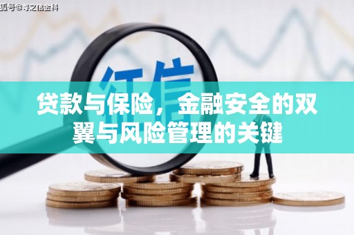 衡阳贷款与保险，金融安全的双翼与风险管理的关键