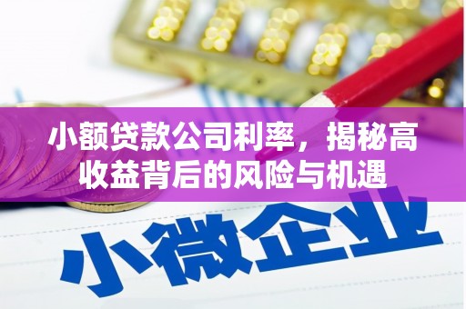 凤县小额贷款公司利率，揭秘高收益背后的风险与机遇