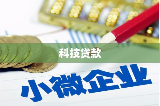 东方科技贷款