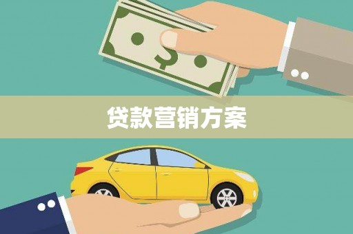 莎车贷款营销方案