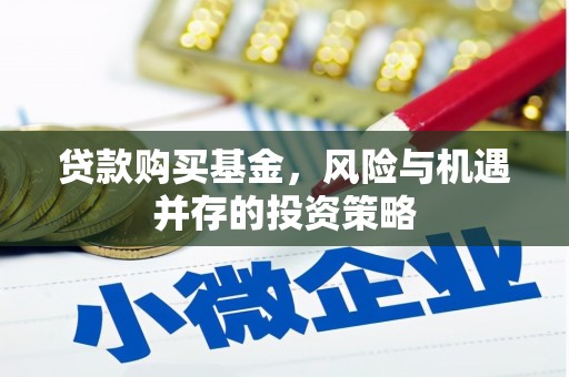 临海贷款购买基金，风险与机遇并存的投资策略