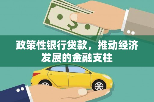 海兴政策性银行贷款，推动经济发展的金融支柱