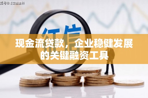 云龙现金流贷款，企业稳健发展的关键融资工具