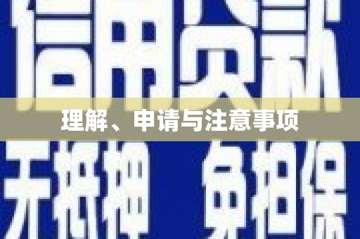 大城理解、申请与注意事项