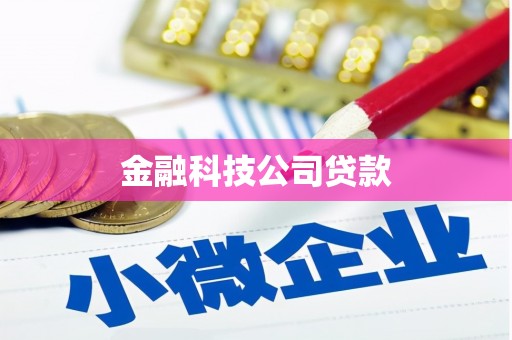 徽州金融科技公司贷款