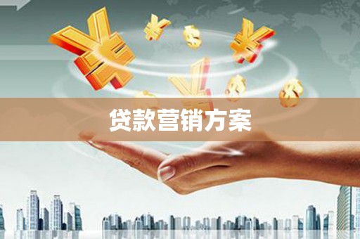 贵德贷款营销方案