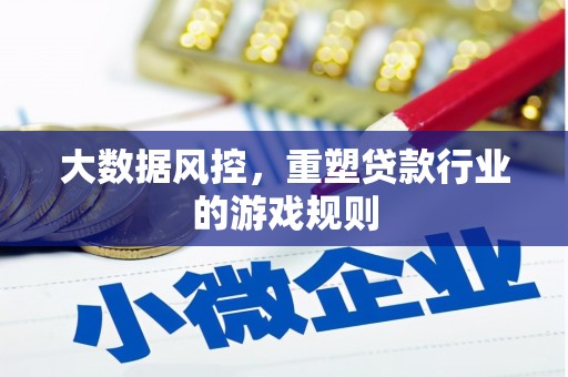 学甲大数据风控，重塑贷款行业的游戏规则