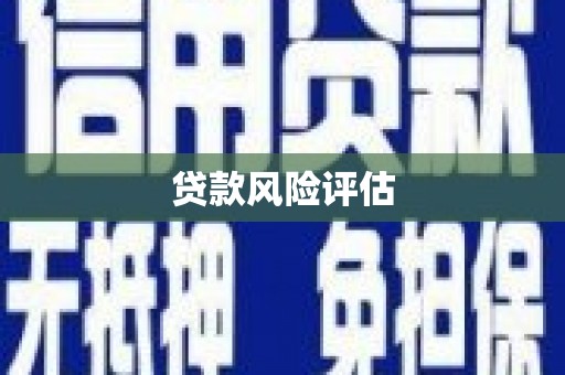 武义贷款风险评估