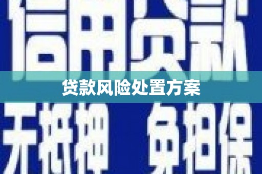 海端贷款风险处置方案