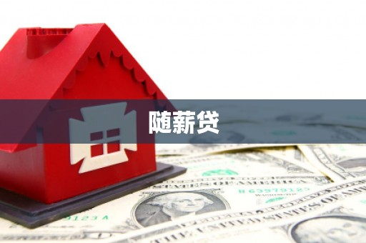 民和随薪贷