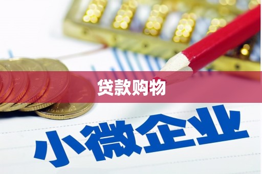 平陆贷款购物