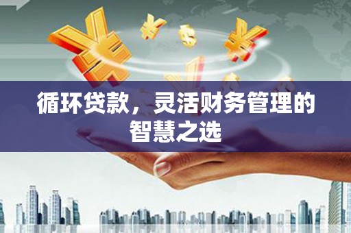 宛城循环贷款，灵活财务管理的智慧之选