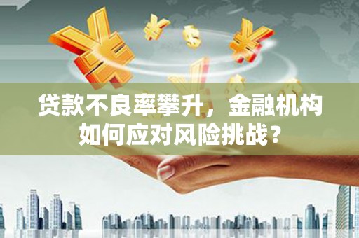 南安贷款不良率攀升，金融机构如何应对风险挑战？
