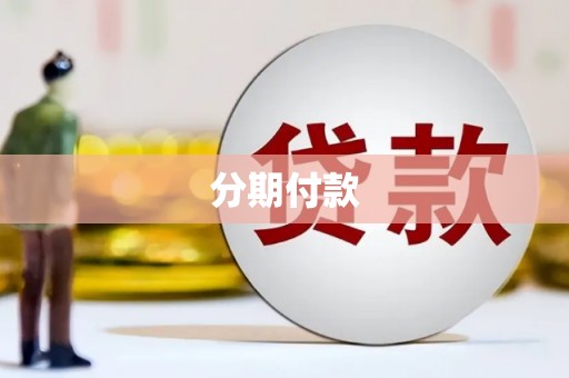 武清分期付款