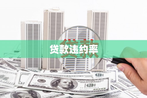 深坑贷款违约率