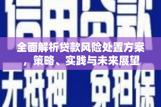 花山全面解析贷款风险处置方案，策略、实践与未来展望