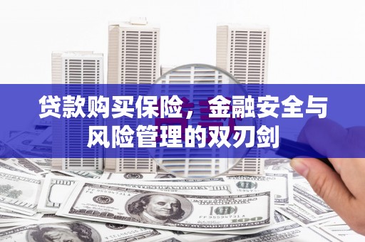 临西贷款购买保险，金融安全与风险管理的双刃剑