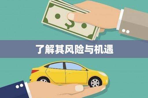 海淀了解其风险与机遇