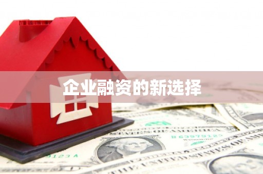 淡水企业融资的新选择