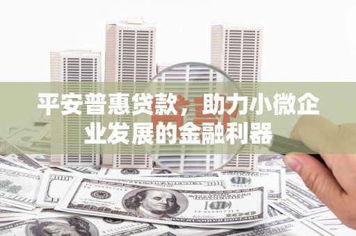 尉犁平安普惠贷款，助力小微企业发展的金融利器