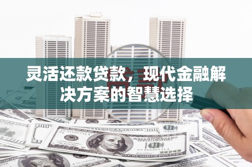 保税区灵活还款贷款，现代金融解决方案的智慧选择