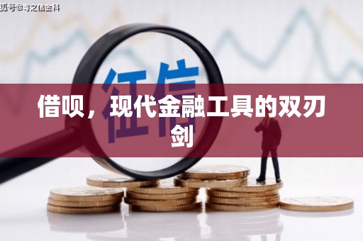 凤林借呗，现代金融工具的双刃剑
