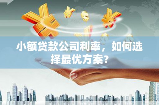 海陵小额贷款公司利率，如何选择最优方案？