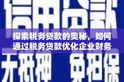 上甘岭探索税务贷款的奥秘，如何通过税务贷款优化企业财务