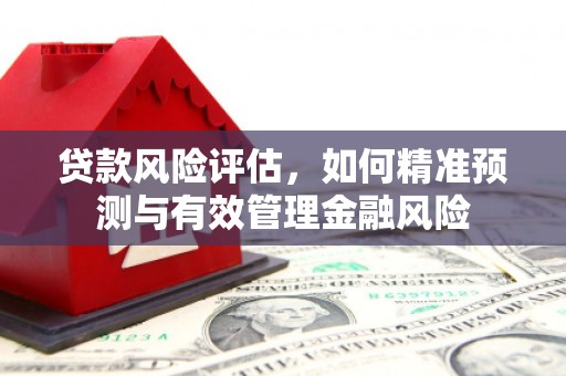雨城贷款风险评估，如何精准预测与有效管理金融风险
