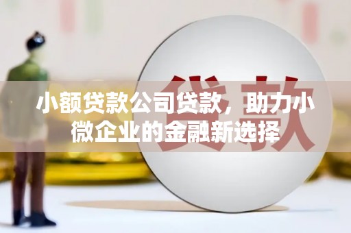 宁夏小额贷款公司贷款，助力小微企业的金融新选择