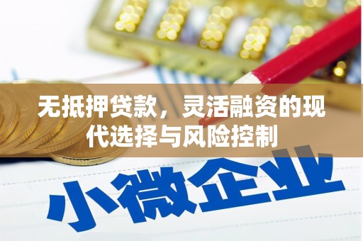 长岭无抵押贷款，灵活融资的现代选择与风险控制