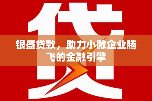 仁寿银盛贷款，助力小微企业腾飞的金融引擎