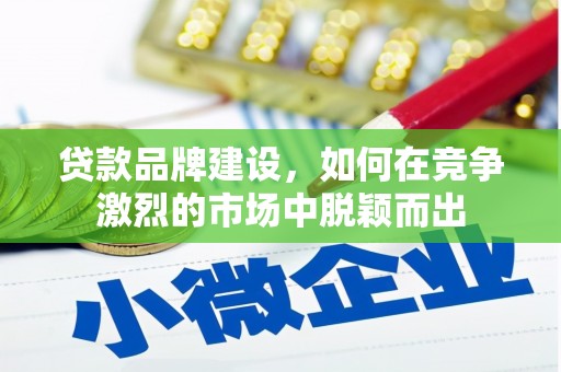 工布江达贷款品牌建设，如何在竞争激烈的市场中脱颖而出