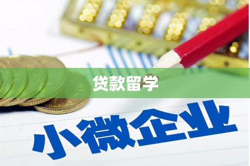 莎车贷款留学