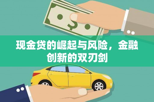 浦东现金贷的崛起与风险，金融创新的双刃剑