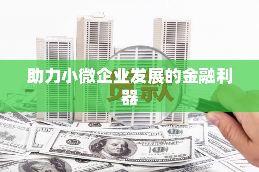 宝清助力小微企业发展的金融利器