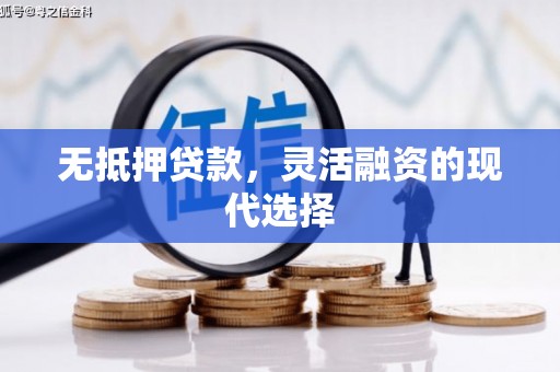 舞阳无抵押贷款，灵活融资的现代选择