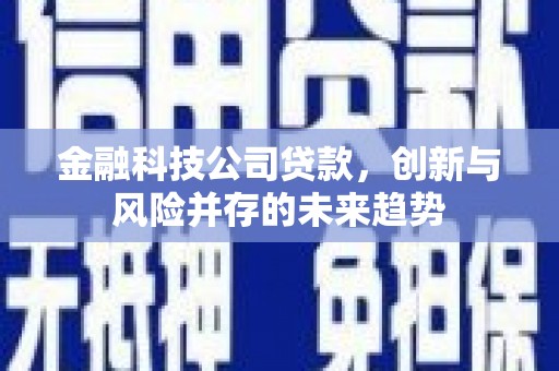 即墨金融科技公司贷款，创新与风险并存的未来趋势