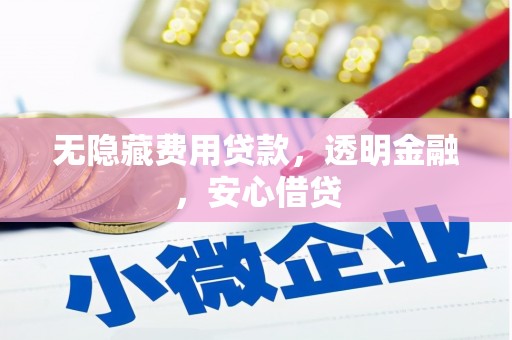 河源无隐藏费用贷款，透明金融，安心借贷