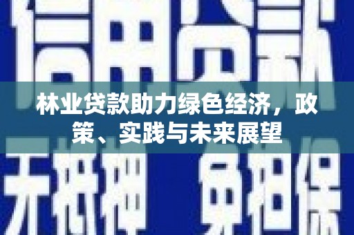 彝良林业贷款助力绿色经济，政策、实践与未来展望