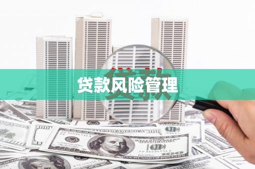 江岸贷款风险管理