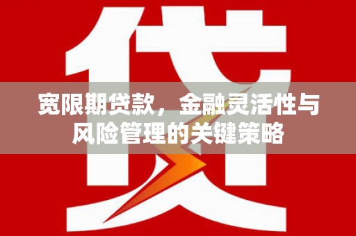 阿巴嘎旗宽限期贷款，金融灵活性与风险管理的关键策略