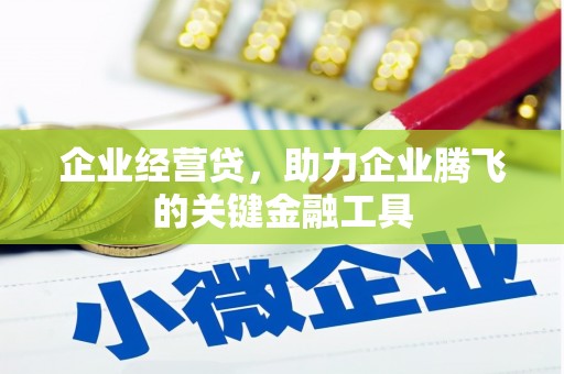 湟中企业经营贷，助力企业腾飞的关键金融工具