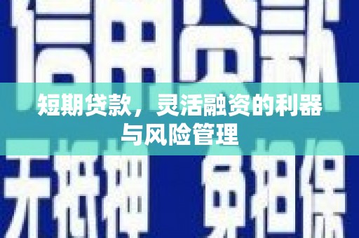 伊川短期贷款，灵活融资的利器与风险管理