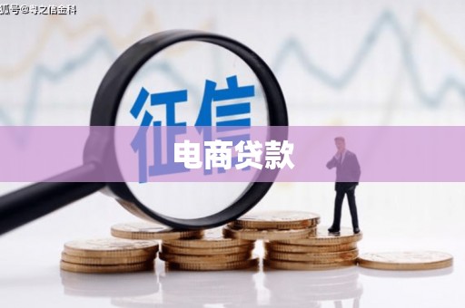 孝南电商贷款