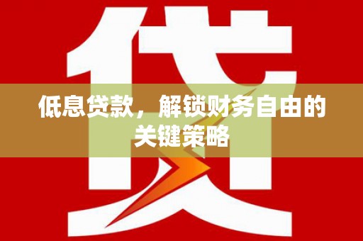 延安低息贷款，解锁财务自由的关键策略