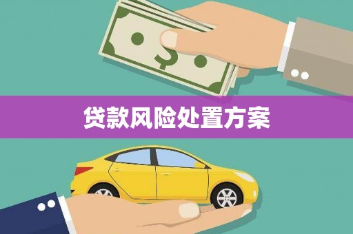 宁武贷款风险处置方案