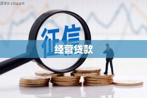 善化经营贷款