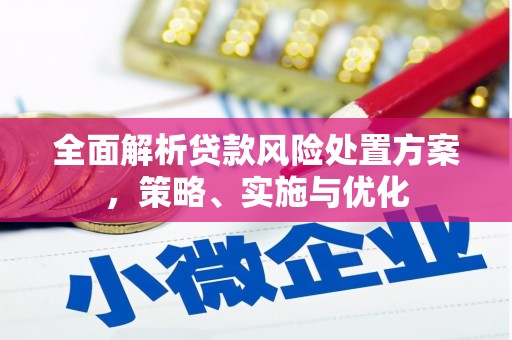 澄城全面解析贷款风险处置方案，策略、实施与优化